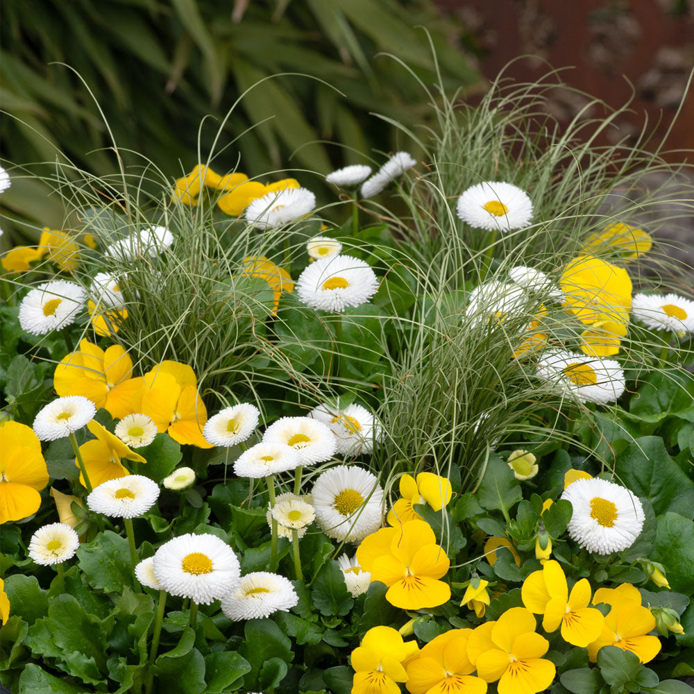 Spring Break Salou Mix