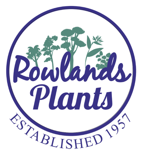 Rowlands Plants