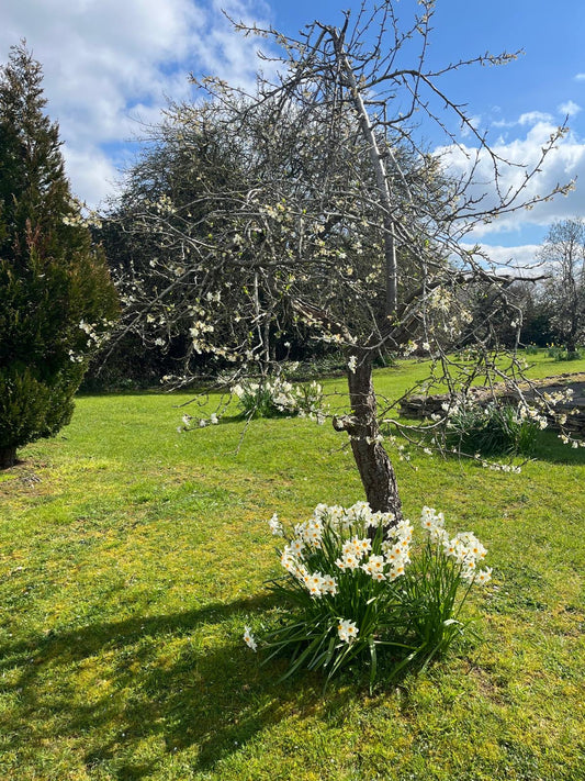 April Showers - Are they coming?