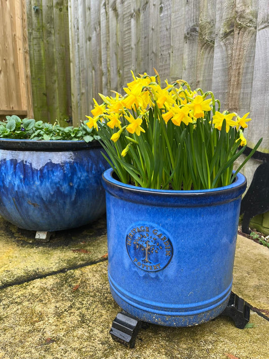 The beginning of Spring 2026