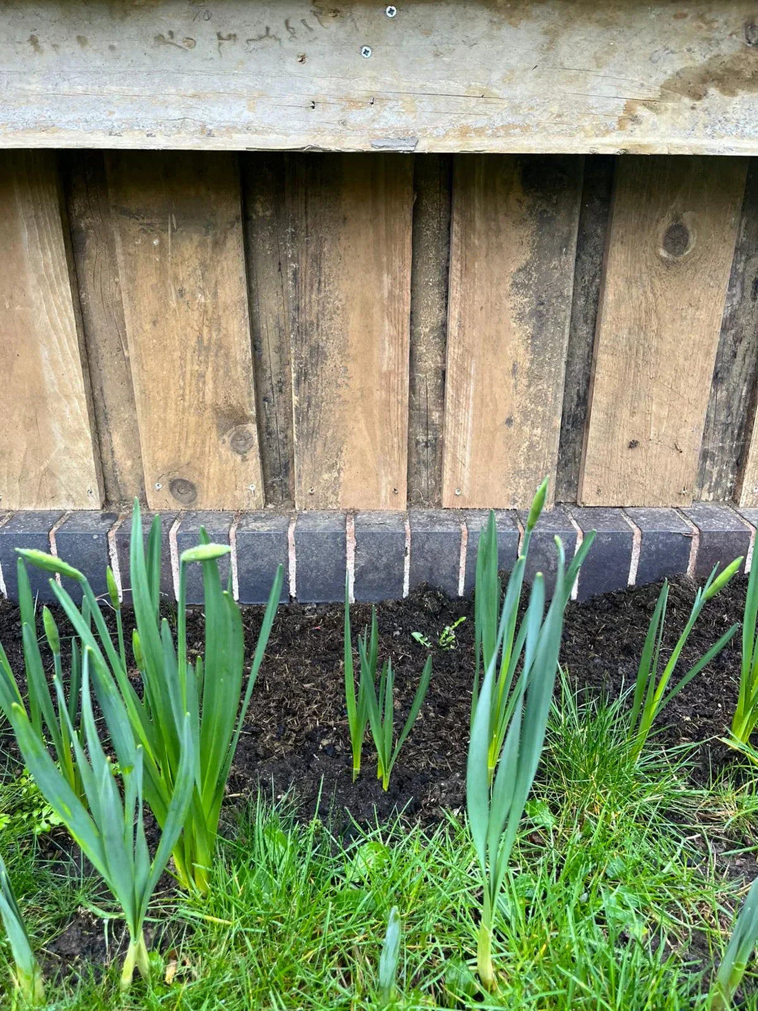 Winter Gardening