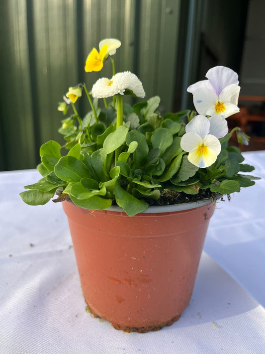 Spring Break Broadway Mix