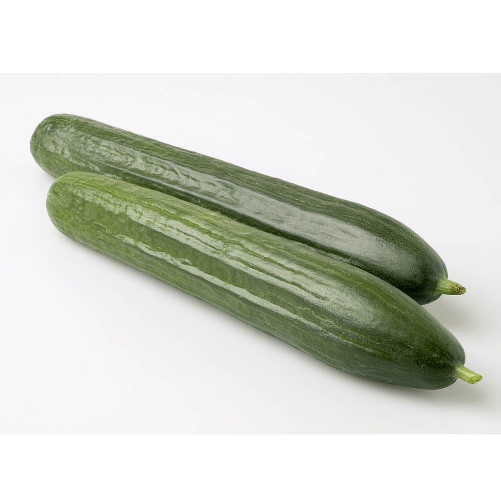 Cucumber 'Carmen'